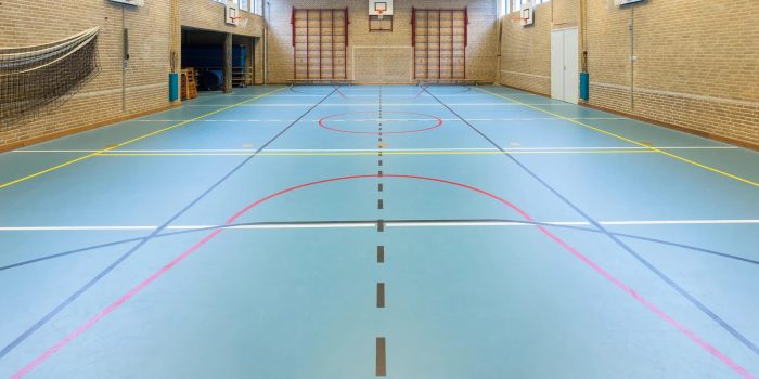 Professional Basketball